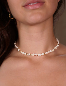 Conchita Seashell Necklace